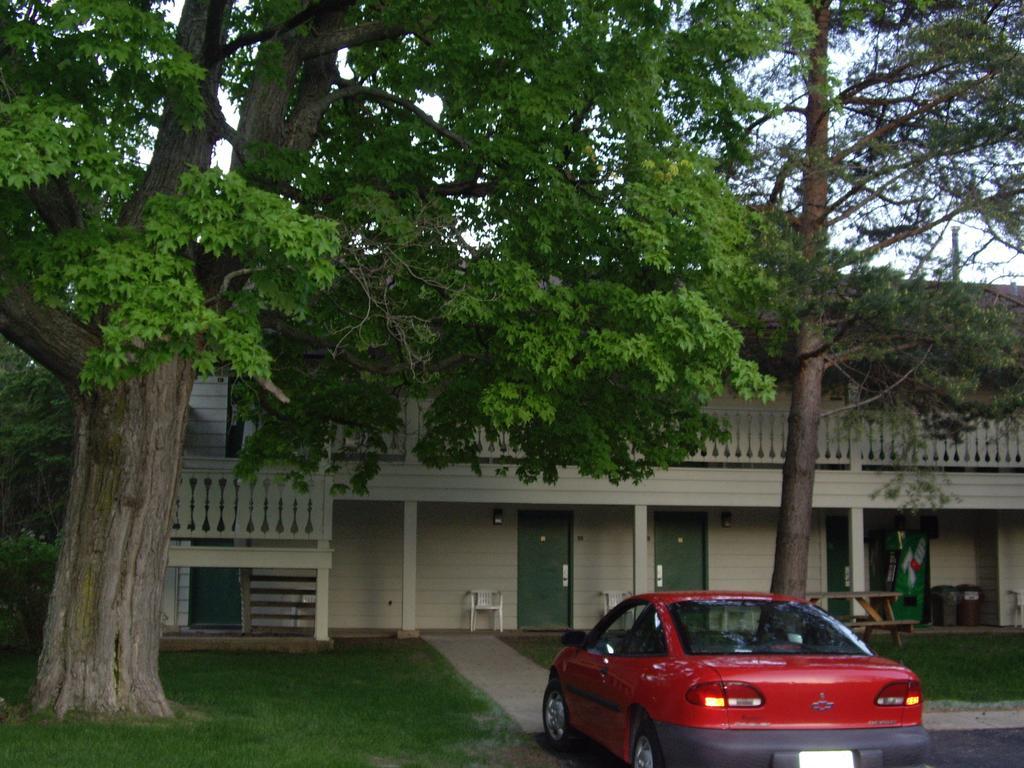 Parkwood Lodge Fish Creek Bagian luar foto