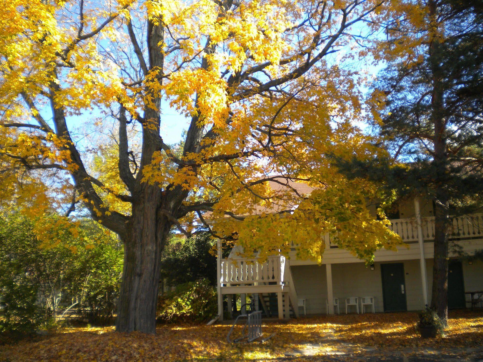 Parkwood Lodge Fish Creek Bagian luar foto