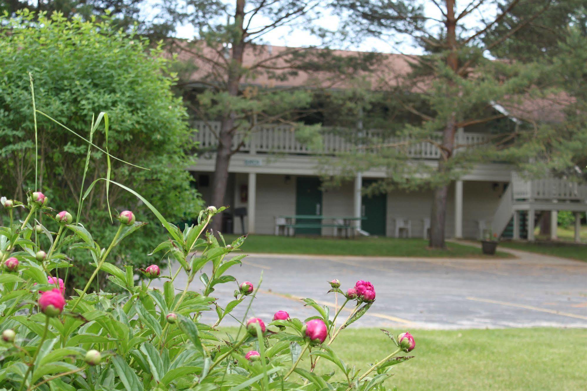 Parkwood Lodge Fish Creek Bagian luar foto